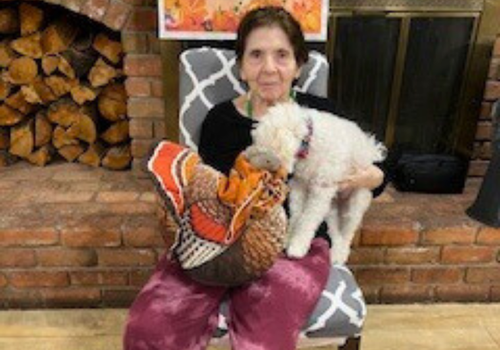 Image gallery marquee